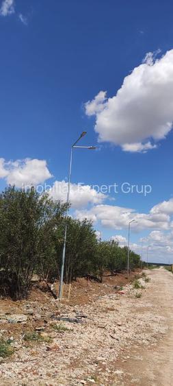 OCAZIE UNICA TEREN IEFTIN-PUZ INDUSTRIAL CERNICA, PALLADY - 11