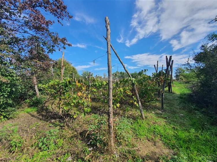 Teren de vanzare in Hemeius Margineni, judetul Bacau - 8