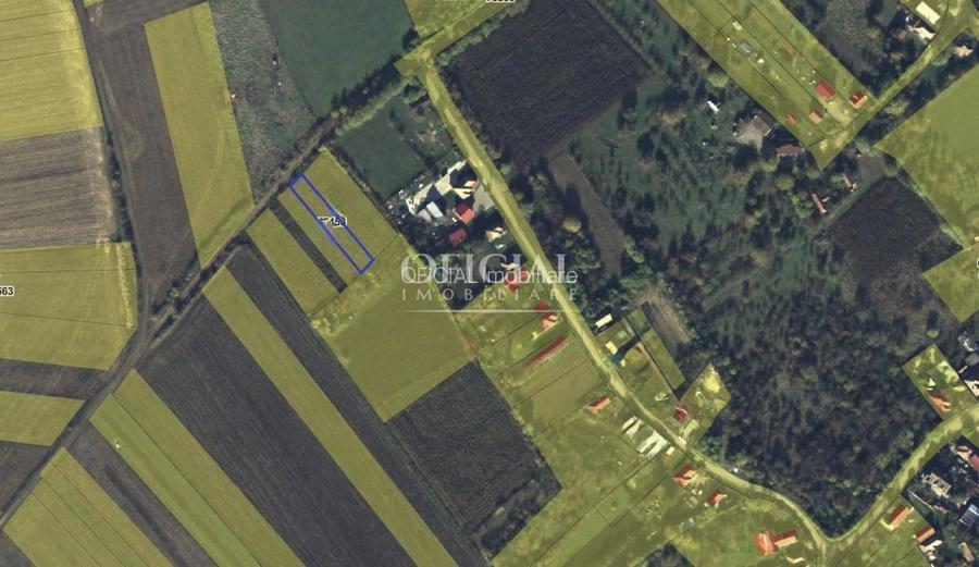 Teren extravilan | 700 mp | Priveliste | sat Pata - 2