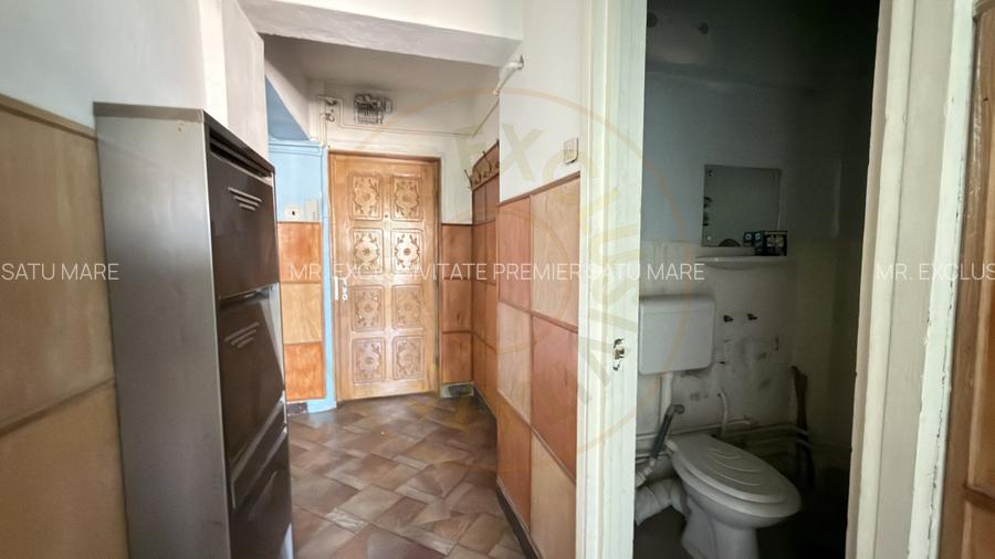 Apartament 4 camere Etaj IV, MV1, Zona Ludy - Str. Regele Ferdinand I - Carei - 10