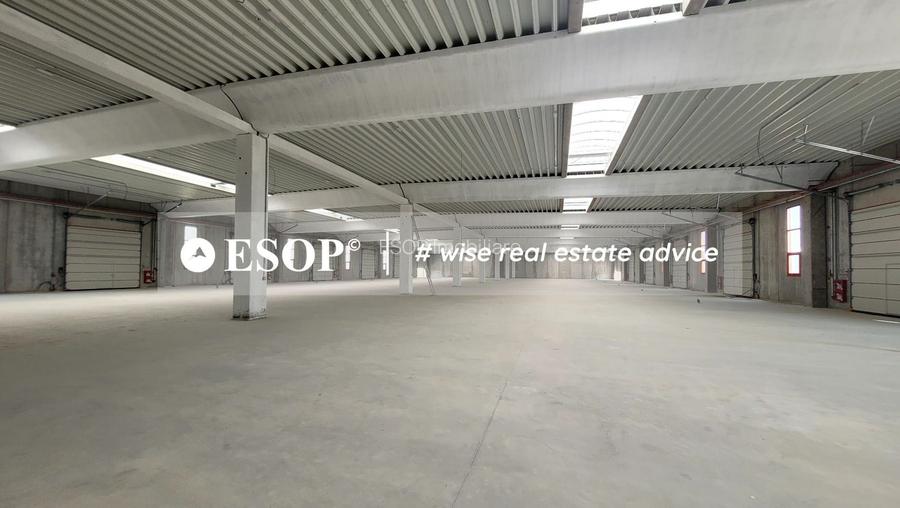 Hale industriale, parc modern, Rudeni, Chitila, Ilfov- ID 15462 - 19