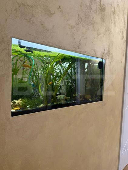 Apartament 2 camere, etaj intermediar, 56 mp, decomandat in Triaj - 11