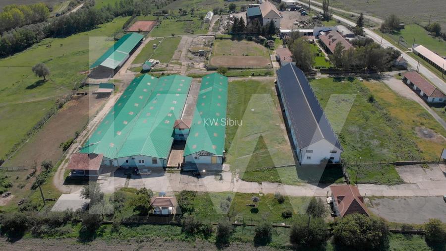 De vanzare | Hala industriala | productie | depozitare | 1023mp | Sebes - 7