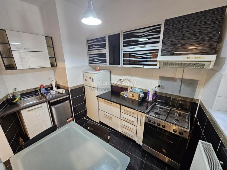 Piata Alba Iulia - Apartament 3 camere in vila, parter, renovat complet, curte - 5