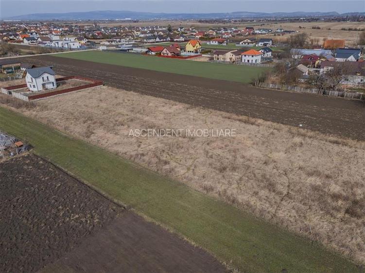 Teren intravilan Stupini,zona de case,utilitati in apropiere, 40 euro mp. - 5