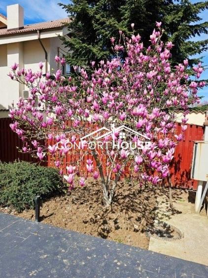 Vila D+P+E+M, teren 898mp, piscina, IANCU NICOLAE-Cambridge School - 6