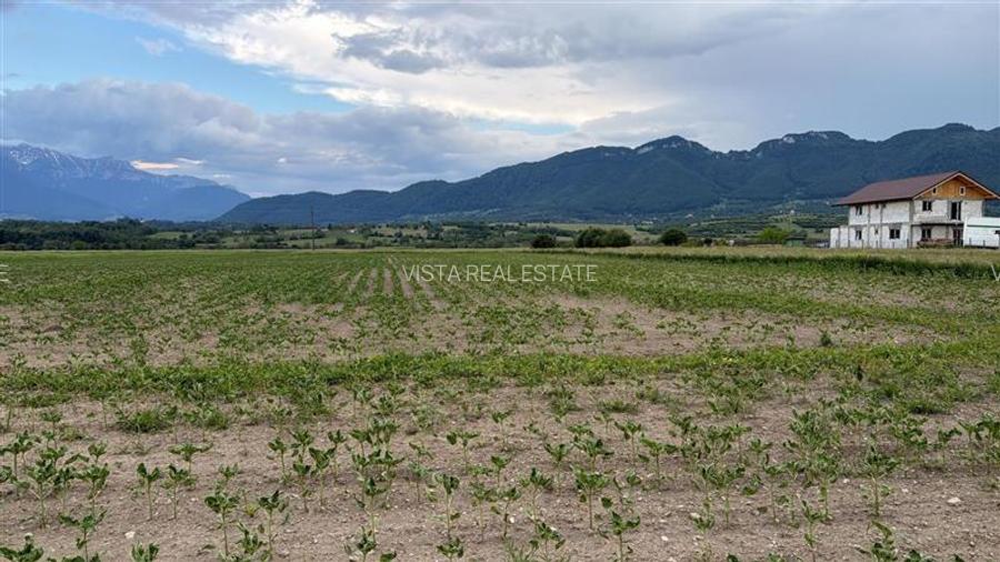 Teren de vanzare la intrarea in Zarnesti (Zona Penny ). Excelent pentru dezvolta - 2