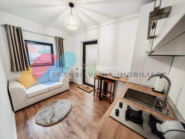 Apartament zona centrală, curatenie inclusa - Strada Horea - 3