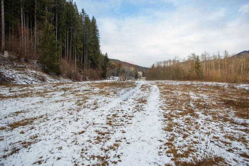 De vanzare | Teren Intravilan | Sat Sabasa, Comuna Borca, Neamt | - 15