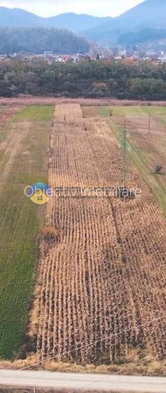 Teren intravilan de vanzare 5533 mp – Alexandru cel Bun - 12