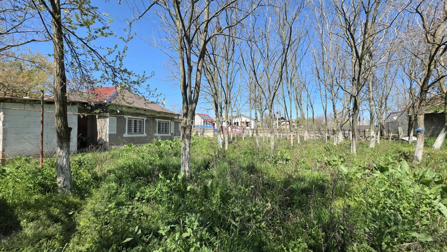 Teren intravilan 2760 MP in Sibioara, Jud. Constanta, ideal pentru investitie - 3