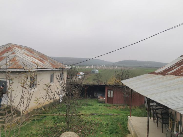 De vanzare casa in Argetoaia cu teren 7.000 mp - 4