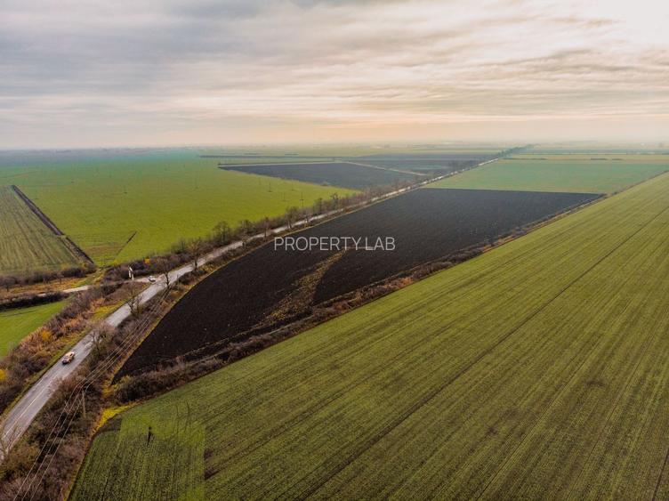 Teren la sosea cu 420 m front stradal - 4