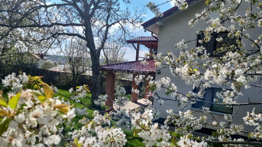 Casă de vânzare în Bucium Iași - 2