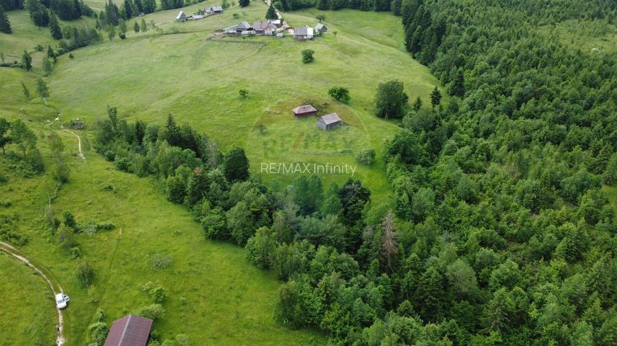 Teren de vanzare 8119 mp Calatele Padure.Muntii Apuseni - 2