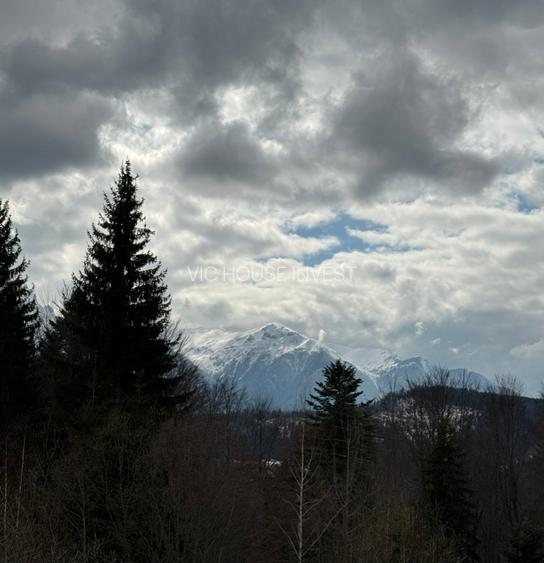 Casa de vacata Predeal Trei Brazi - 14