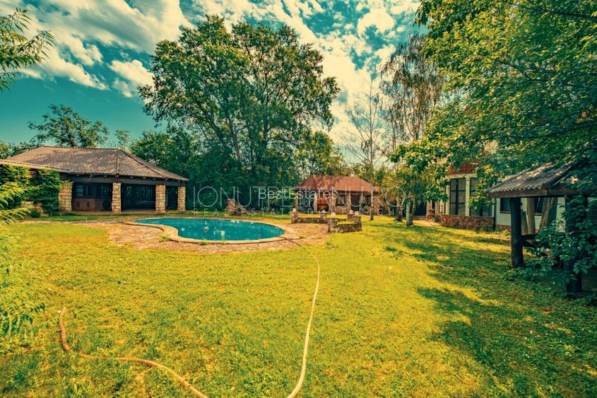 Casa superba cu vedere la lac in Izvorani – piscina, natura,si potential imens! - 18