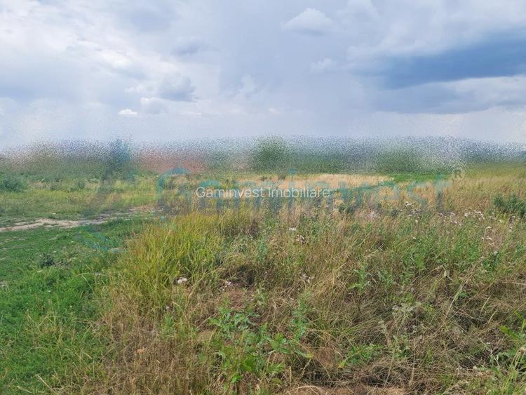 Teren intravilan pentru constructii si investitii de vanzare, Osorhei, Bihor - 2