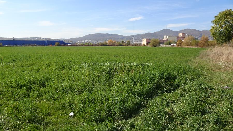 Vand teren intravilan in Deva suprafata totala 43 000 mp, zona Auchan - 2