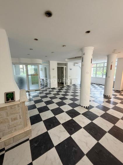 Direct proprietar Vila Baneasa – Aerogarii 500 metri metrou M6 / aeroport - 7