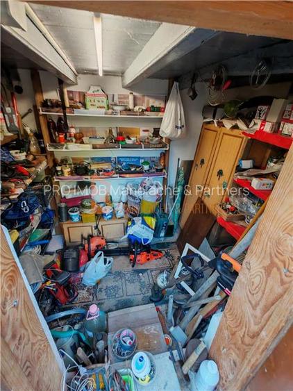 EXCLUSIVITATE! Casa+teren si cabana de lemn zona Naeni - 21