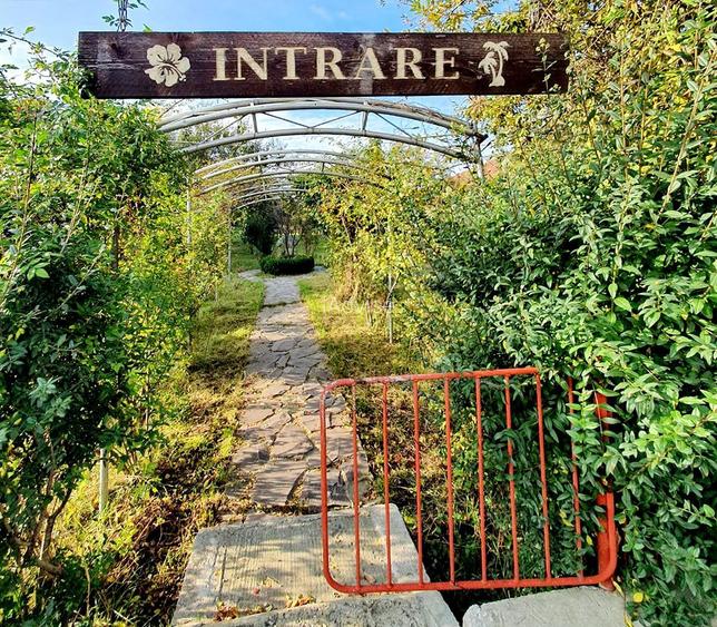 Oportunitate de investiție - 9