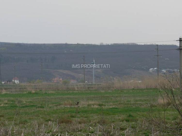 Vand teren 6170 mp in Vaslui, localitate Negresti - 5