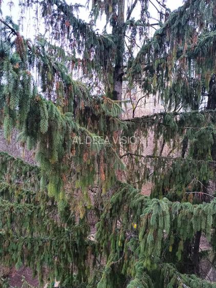 Apartament 2 camere de vânzare ,în Gheorgheni, zona Unirii - 8