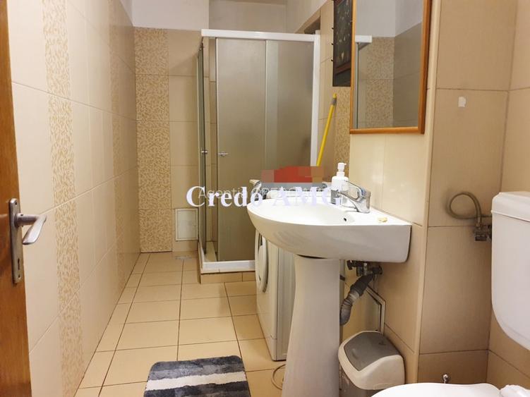 Bld Unirii,  Mircea Voda, BCR,  inchiriere apartament 2 camere, decomandat - 7