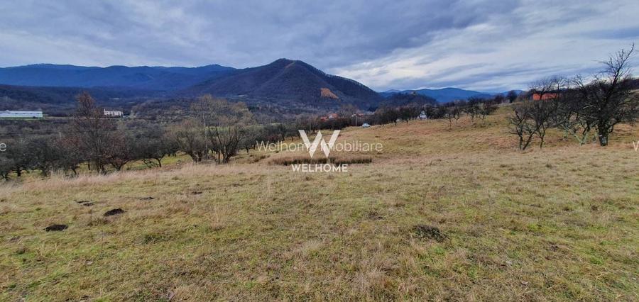Rădăcini noi, visuri vechi- Teren de vanzare in Cisnadioara, Sibiu - 5