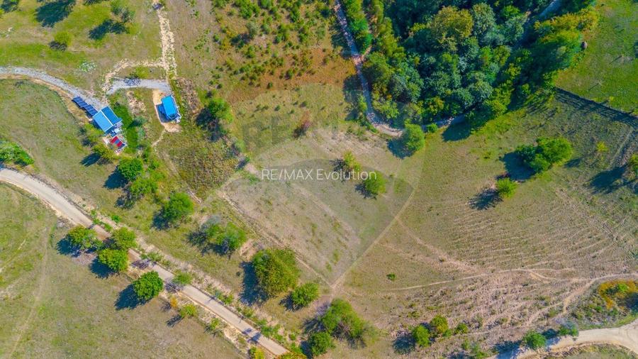 Teren Holbav - Holbav 6.014 mp Extravilan - 5