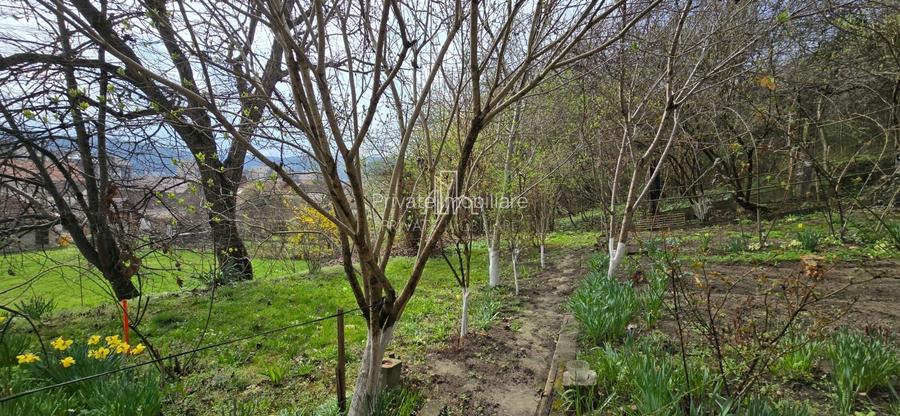 Casă de vânzare zona Viilor, Sighisoara - 18