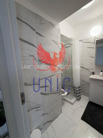 Garsoniera la cheie, Cornitoiu! - 13