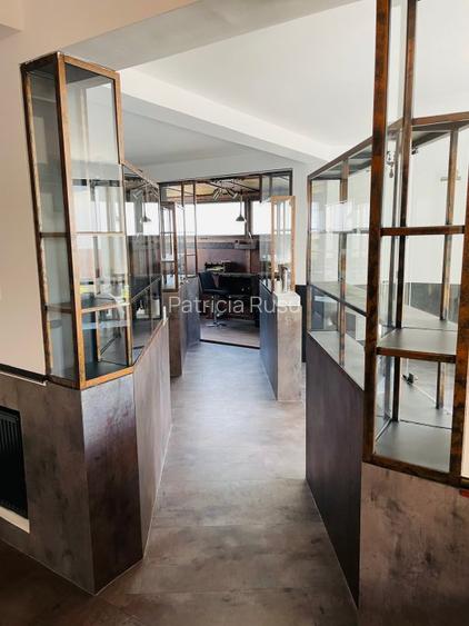 Spatiu Comercial sau Birouri 165mp - 4