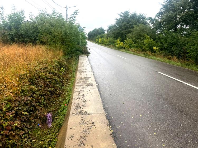 Vanzare 10.000 mp teren Liteni Suceava- la strada -potrivit proiect fonduri - 21