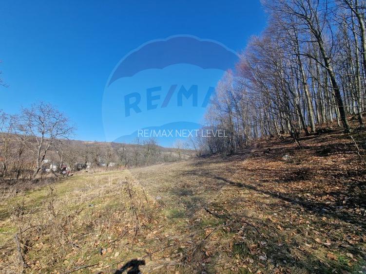 Teren de Vânzare în Pâncești (Sascut) - 4