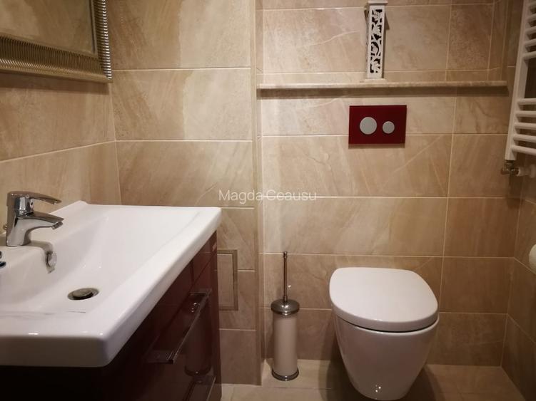 INCHIRIERE GARSONIERA HERASTRAU FICUSULUI 40 MP - 5