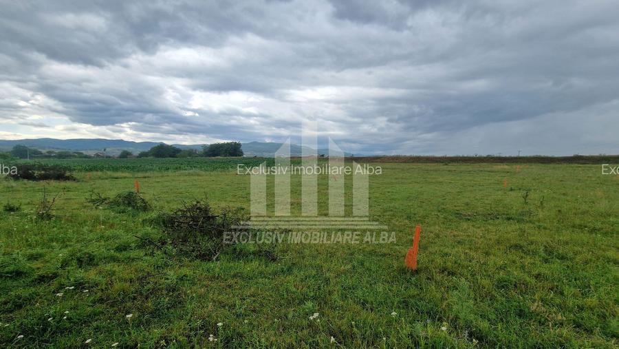 Teren intravilan | De vanzare | 450 mp | 14 ml deschidere | Partos - 4