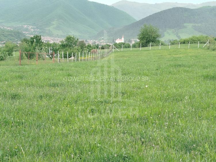 Teren de vinzare in Tropini Vechi - 2