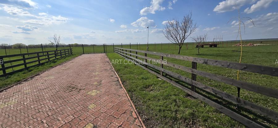 Fermă Zootehnică de Vânzare 6 Ha | Vaci și Oi | Grajd si Saivane | Calugareni | - 13