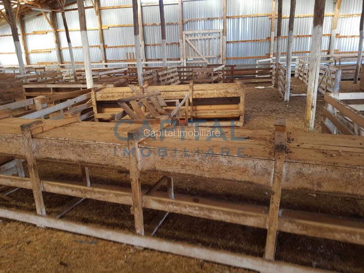 Ferma langa Oravita 5600 mp construiti si teren 24281 intravilan - 8