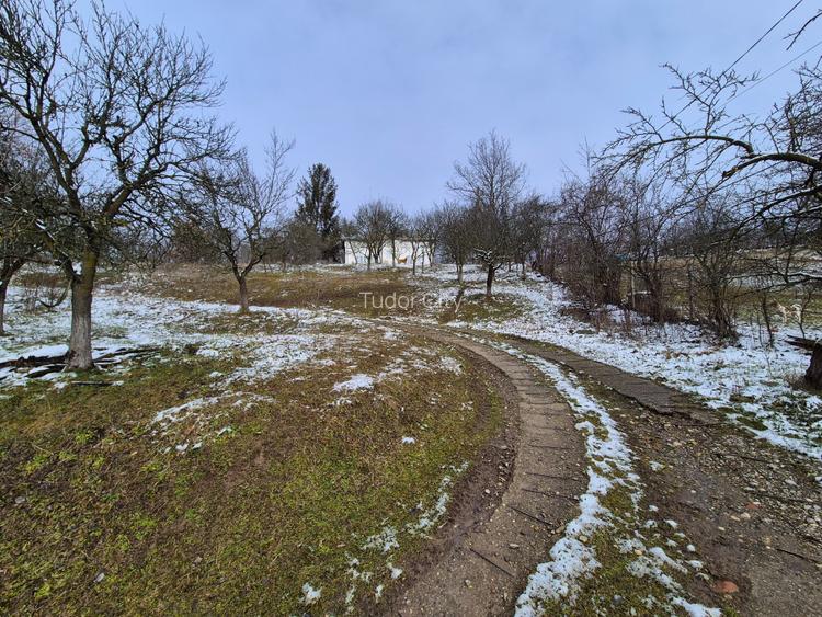 Moșia boierească din vârf de deal, Scorțeni - Prahova, comision 0% - 7