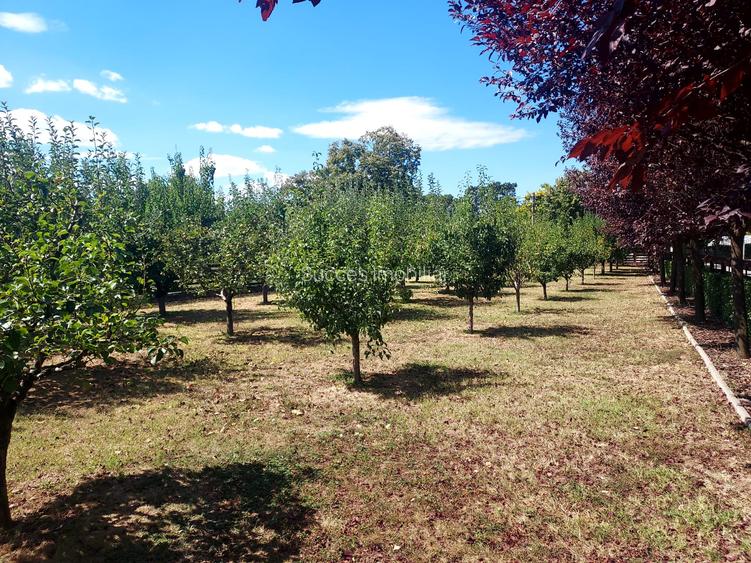 CLUB SNAGOV-VILA SUPERBA, TOTAL PRIVACY,FINISAJE LUX,CURTE 2000  MP,565000 EURO - 5