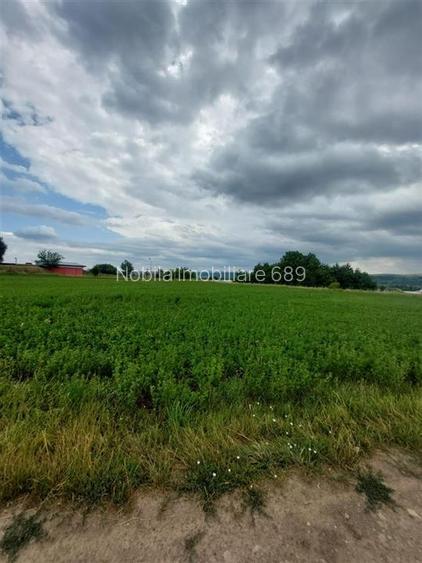 Teren intravilan de vanzare in Tg Trotus - 2