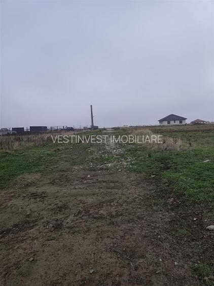 Teren intravilan in Cihei - 5