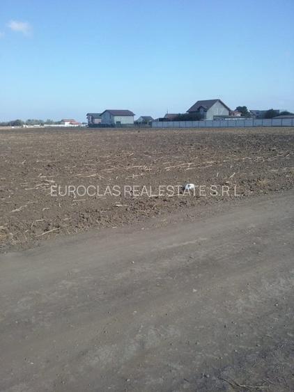 Exclusiv! Teren intravilan 6.100 mp - Cumpana - 29 euro/mp  (Cod E3) - 3