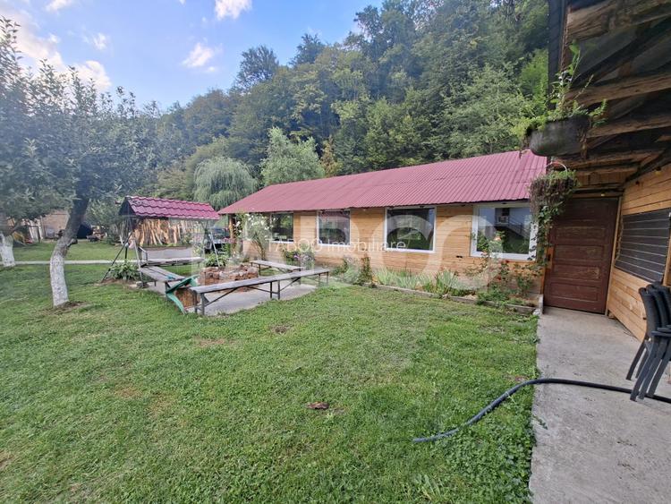 Spatiu de vanzare in Valea Macesului judel Valcea iesire la Lotru - 33