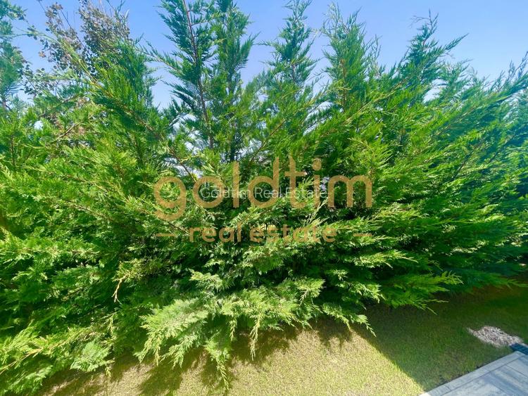 SUPERB/MODIFICATA/ PRETABIL CUPLU/ GRADINA MATURA/  MOBILATA SI UTILATA - 23