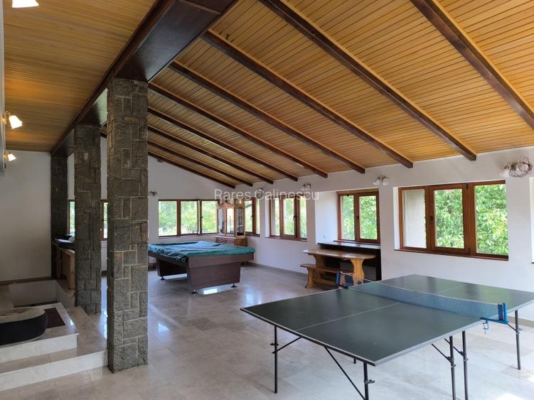 Casă de vacanță complet mobilată, zonă montană – Moroeni, sat Glava (Dâmbovița) - 12