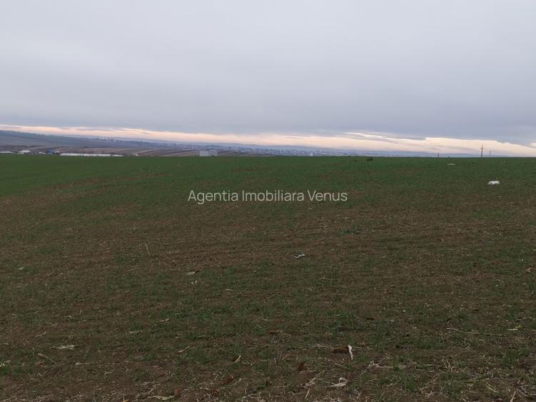 Terenuri in Rachiti - 8